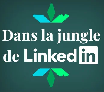 s'inscrire à la newsletter "Dans la jungle de LinkedIn"