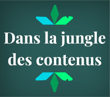 s'inscrire à la newsletter "Dans la jungle des contenus"