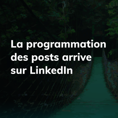 LinkedIn prévoit la programmation des posts sur la plateforme